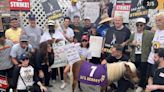 ‘Parks and Rec’ Cast – and Lil’ Sebastian – Reunite on the SAG-AFTRA Strike Picket Lines (Photos)