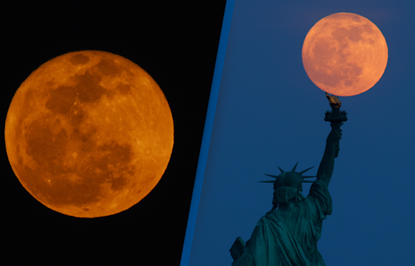 Full moon will bloom in the night sky today and you don't want to miss it