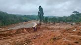 Homes lost in sea of mud, Wayanad survivors recall horror, neighbours saying 'nothing will happen'