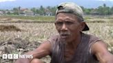 Drought hits Indonesia's rice farmers