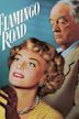 Flamingo Road (film)