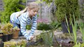 I'm a Gardening pro - 10 ways you can break the law in your outside space