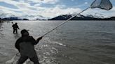 Photos: Dipnetting for hooligan on Turnagain Arm