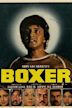 Boxer (1984 film)