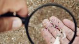 How much microplastics are inside humans? New film unveils a figure