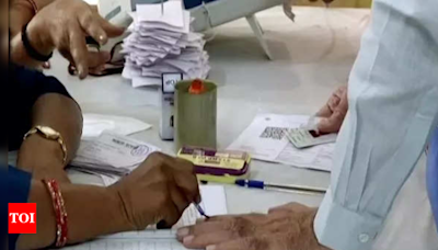 In first 4 hours of polling, Punjab records 23.91 pc turnout, Chandigarh 25.03 pc | India News - Times of India