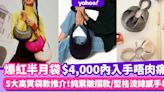 半月手袋推介｜小資女入手唔肉痛5款$4,000內平價高質半月袋！小眾品牌半價入手