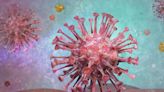 Stopping HIV in Its Tracks: New Anti-Viral Treatment Hacks the Virus’ Protective Shield