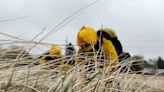 CSFD crews begin wildland drill training