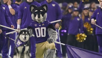 Washington Huskies vs WSU Cougars football game streaming only on Peacock in Week 3: How to watch the Apple Cup