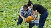 Celebrate fall at a local pumpkin patch. Here’s a list of Triangle options