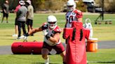 Cardinals training camp roster preview: DL Ben Stille