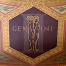 Gemini (astrology)