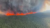 Incendios forestales más virulentos por la sequía y el calentamiento global