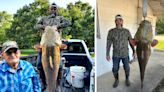 ‘Holy Moly!’ Massive Flathead Caught on Trotline Is Just Shy of State Record