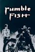 Rumble Fish