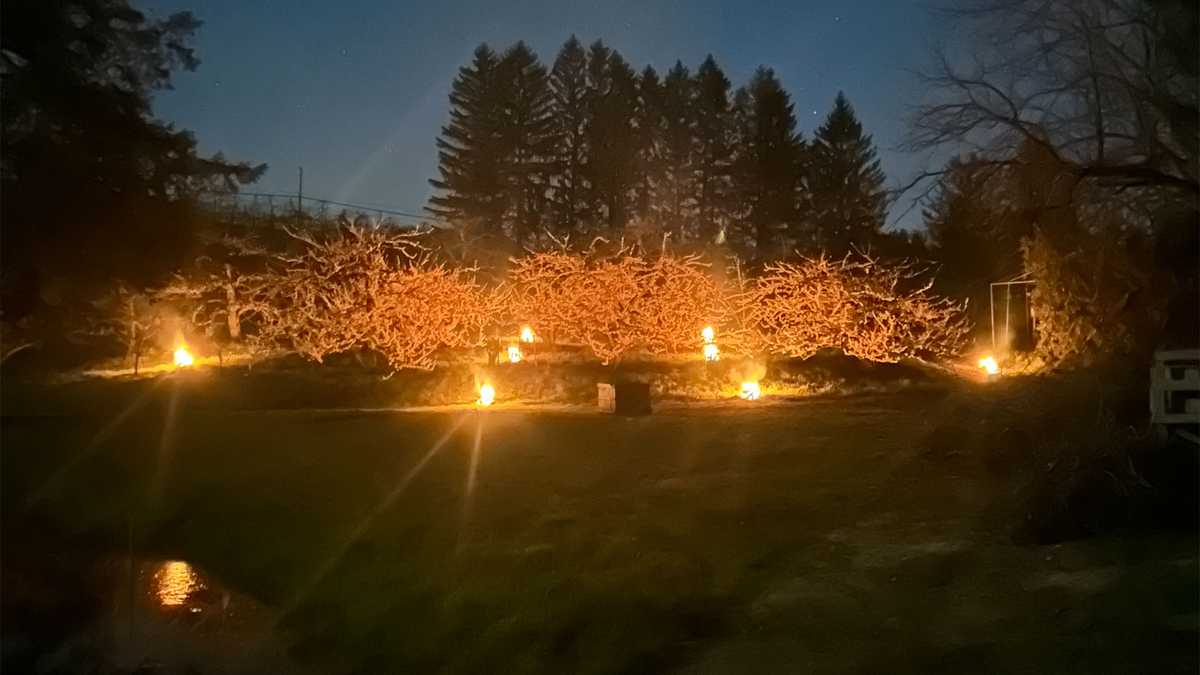 Mass. farms working hard to protect crops from frosty overnight temperatures