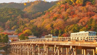 日本旅行｜2024紅葉預測出爐 即睇8大地區「最佳賞楓時間」