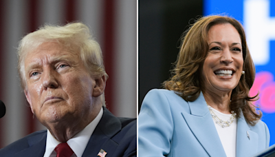 Kamala Harris vs Donald Trump: Nate Silver issues polling update