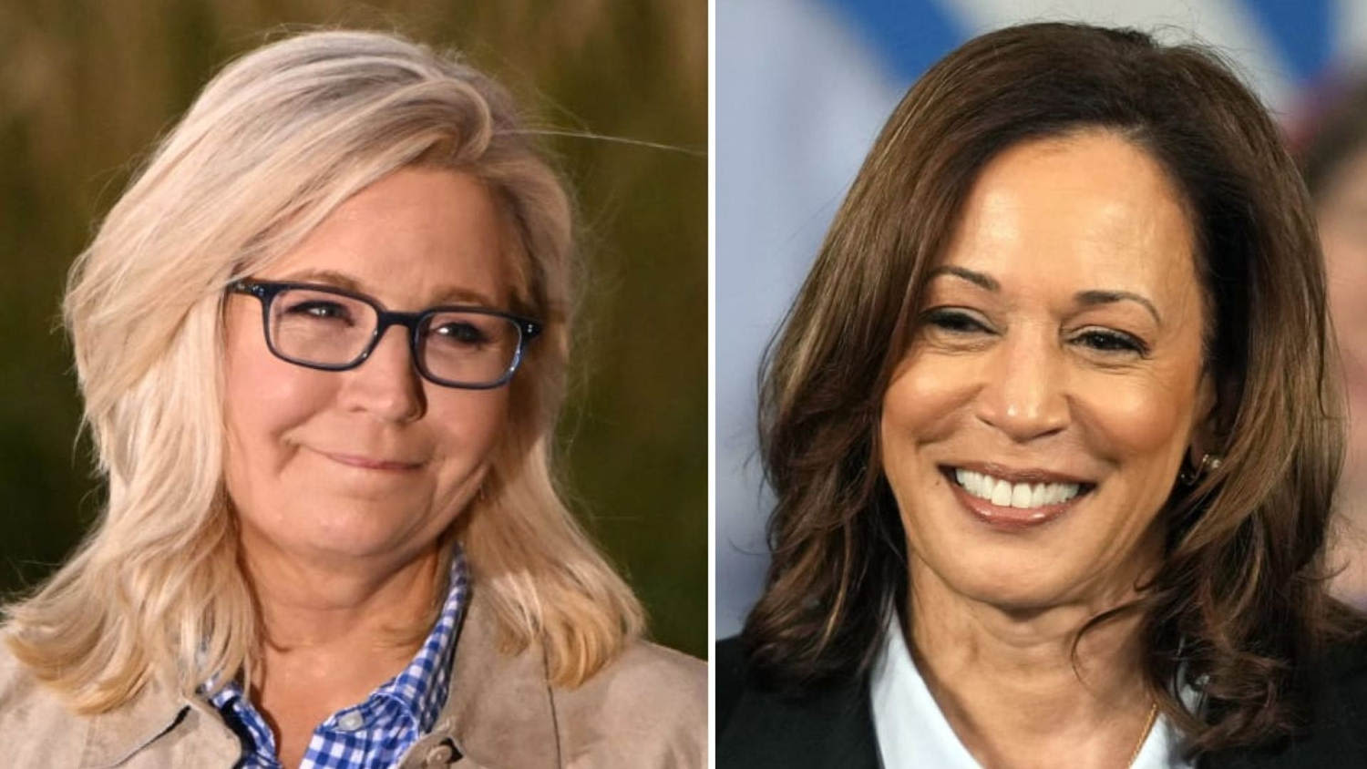 ‘Voting for character’: Former Rep. Liz Cheney endorses VP Harris