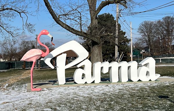 Fowl play: Giant pink flamingo torn from perch near Parma script sign, police searching for culprits