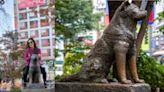 ‘Humans have lost humanity’: Female tourist poses atop Tokyo’s Hachiko statue; netizens outraged