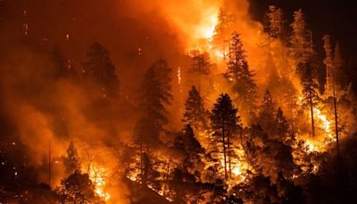 Undoing important investments in wildfire prevention would place California in harm’s way | Opinion