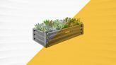 Elevate Your Yard (And Your Plants) With These Raised Metal Garden Beds