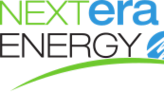 Director Nicole Arnaboldi's Strategic Investment in NextEra Energy Inc