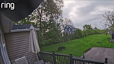 Bear spotted in Batavia backyard; here’s what to know