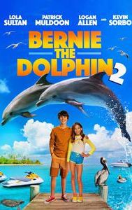 Bernie the Dolphin 2