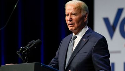 ¿Votantes demócratas apoyarían a un candidato diferente a Biden para enfrentar a Trump? Análisis en Línea de Fuego