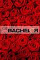 The Bachelor