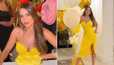 Sofía Vergara's Sexy Yellow Birthday Dress Perfectly Matched Her Cake