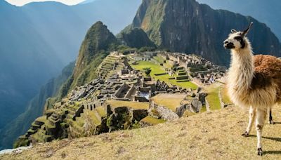 Travel: Peru, the land of dancing horses, walking trees, llamas and Machu Picchu