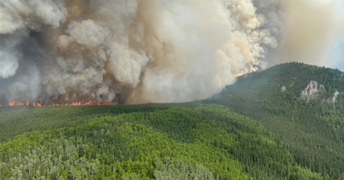 Alaska Wildfires Scorch Over 538,000 Acres, Grapefruit Complex, Riley Fires Ongoing