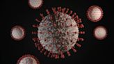 Hepatitis C Leaves Lasting “Scars” On the Immune System Even After Treatment