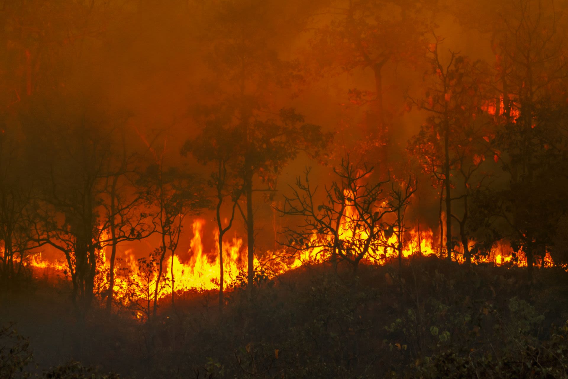 Man arrested after intentionally starting 160,000-plus-acre wildfire engulfing California: 'Consuming everything in its path'