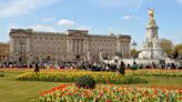 Covid experts to receive honours at Buckingham Palace