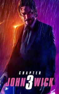 John Wick: Chapter 3 -- Parabellum