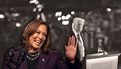 Kamala Harris has clearly gotten under Donald Trump's skin