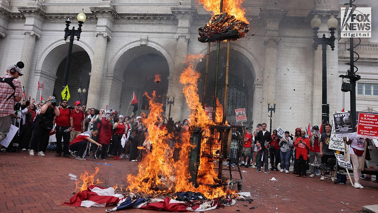 'Woke' political, college leaders set stage for pro-Hamas DC protest: lawmaker