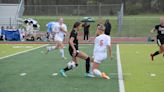 Eagles keep improving, defeat Fenton Tigers 3-1