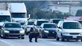 Watch: Bear blocks traffic on California highway