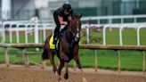 Dornoch 'Ready' for KY Derby After Receiving Hoof Care