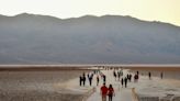 Five wild burros shot and killed in Death Valley National Park