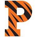 Princeton Tigers