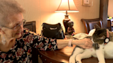 Local dementia Care Homes incorporate pets to help residents