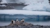 Chile Antarctica