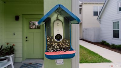 I’m obsessed with my smart bird feeder, and it's 30% off during Prime Day